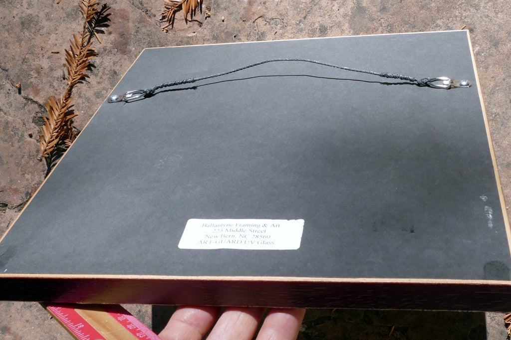 Basilius Besler TULIPA MINIATA PLENO FLORE FRAMED MATTED ART PRINT Tulip