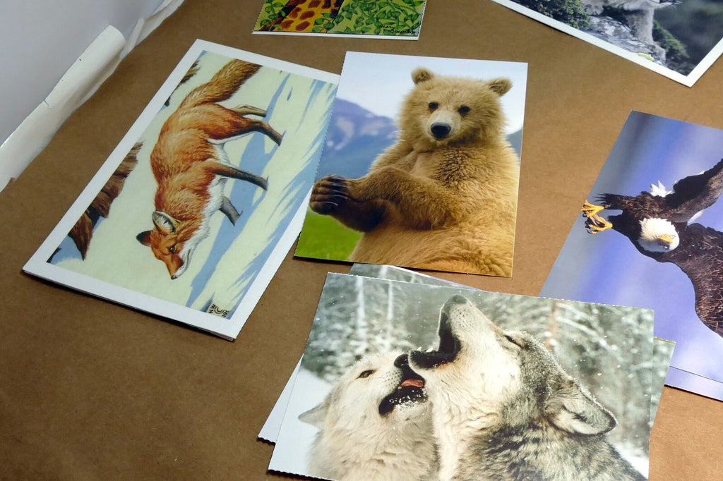 Animal Cats Wolves Fox Postcard Postcard unposted set of 10 lot wildlife USA