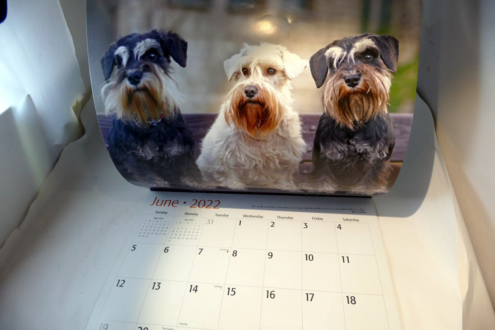 2022 Miniature Calendar puppy dog pics Red Ember family series