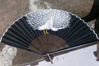 Japanese hand folding fan, peacock bird bamboo black and white 12"