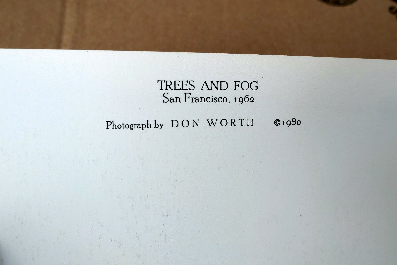 Trees and Fog 1962 San Fra Photograph by Don Worth POSTCARD DW-2
