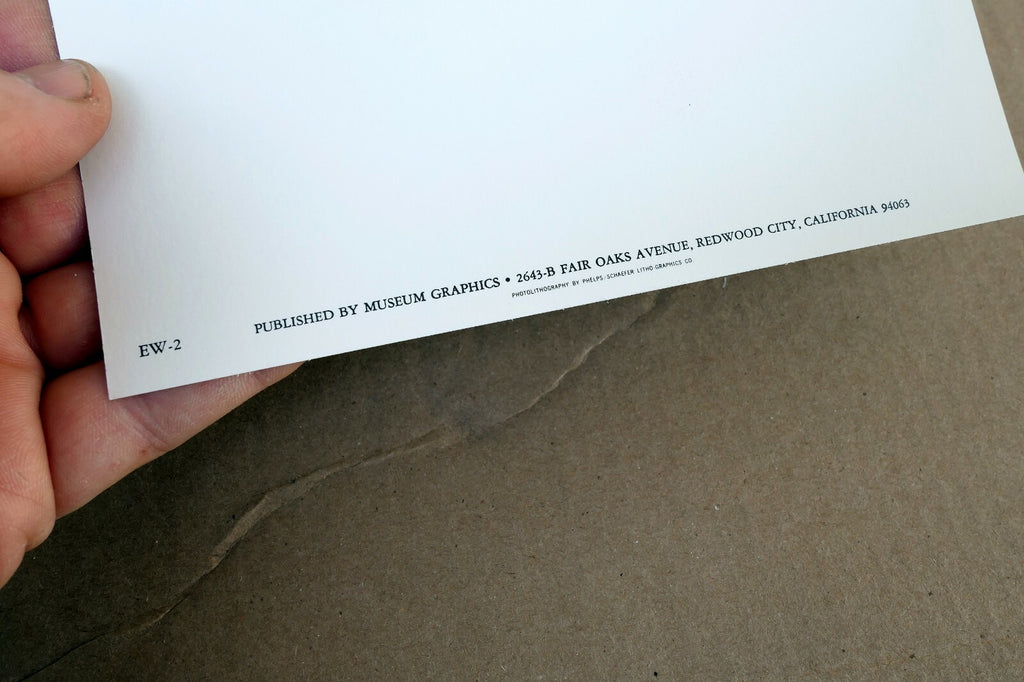 Shells 1927 14-S Photograph by Edward Weston POSTCARD vintage unposted EW-2