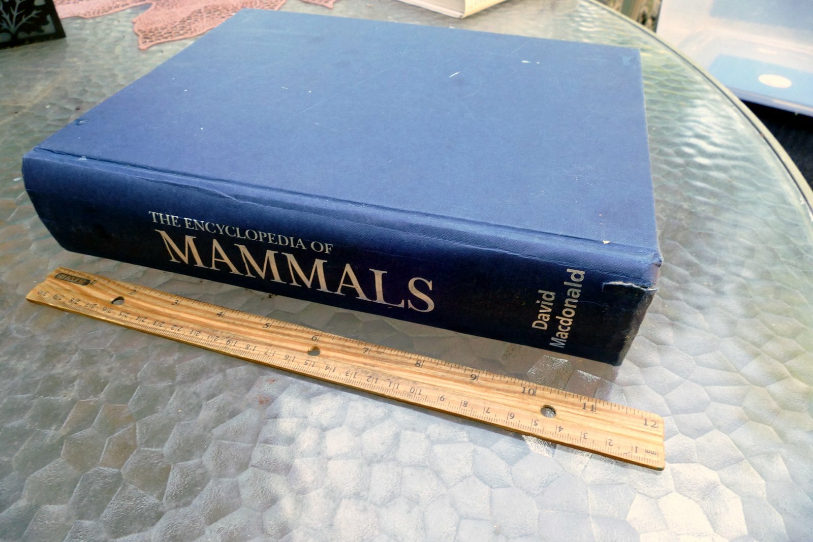 The New Encyclopedia of Mammals by David Macdonald Sasha Norris 2006 hardcover