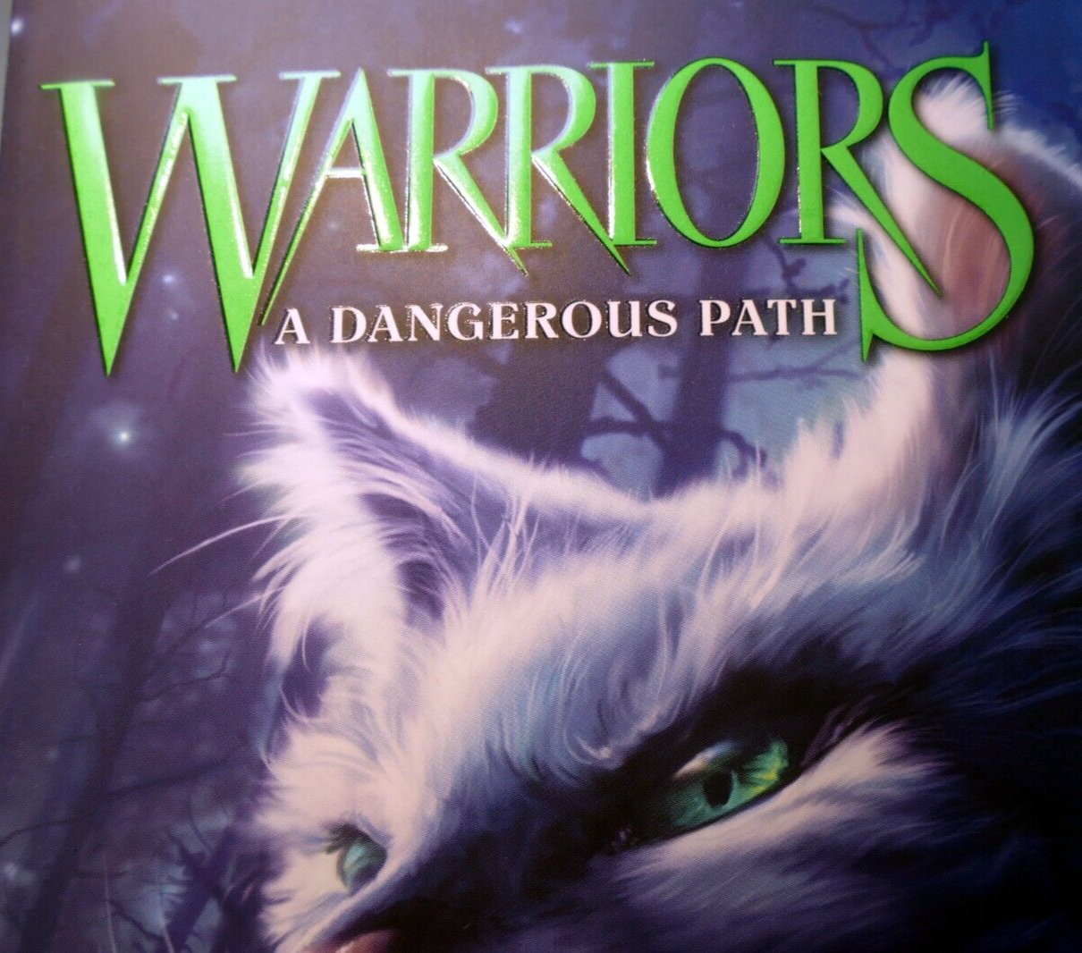 Warriors #5: a dangerous path (warriors: the prophecies begin)   very good
