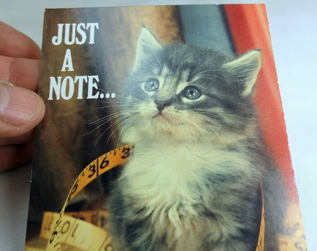 Just a note postcard animal shelter north shore league adopt a pet kitten 1980's