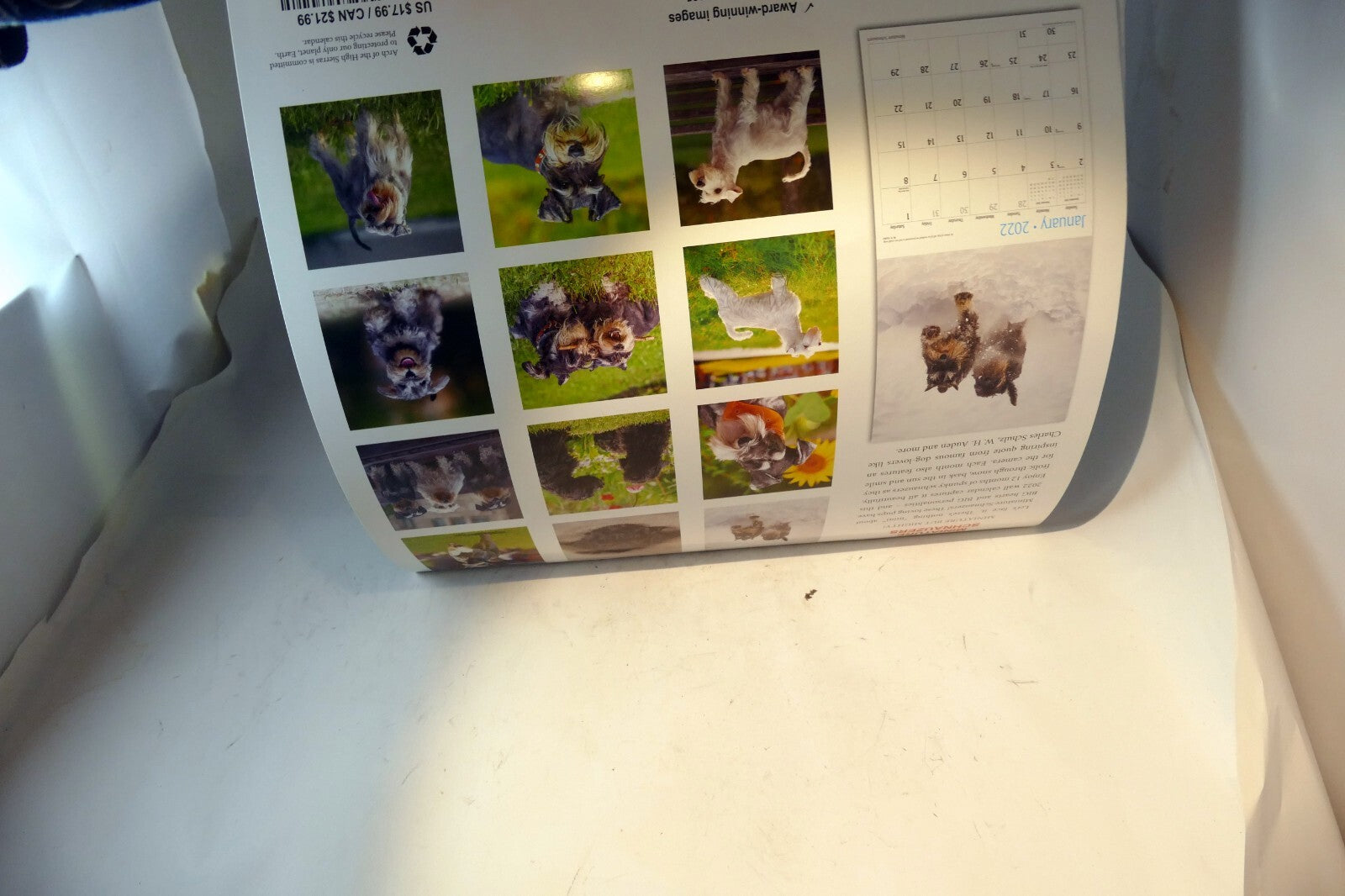 2022 Miniature Calendar puppy dog pics Red Ember family series