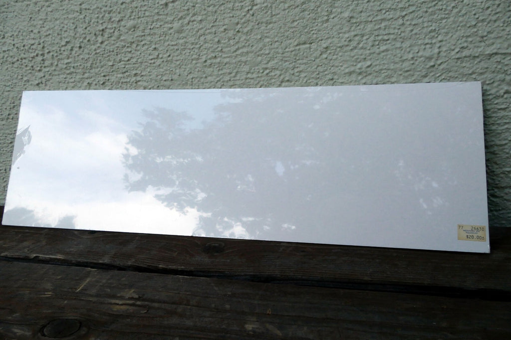 3X18" shorebirds pelicans flying Print R. folk NWS