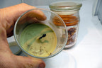 USED Yankee Candle Sage & Citrus 12 oz Glass Jar Cinnamon Buns Balsam Cedar set
