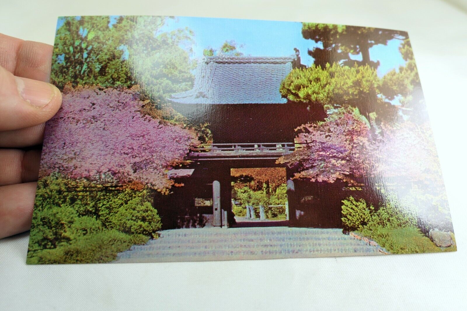 Japanese Tea Garden San Francisco  California USA Postcard 1970's