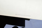 1966 Audubon Print SNOWY EGRET, bird print 15X20" medium