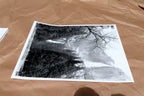 Yosemite California 11X14" Black & white Picture Photo Valley Waterfall cascades