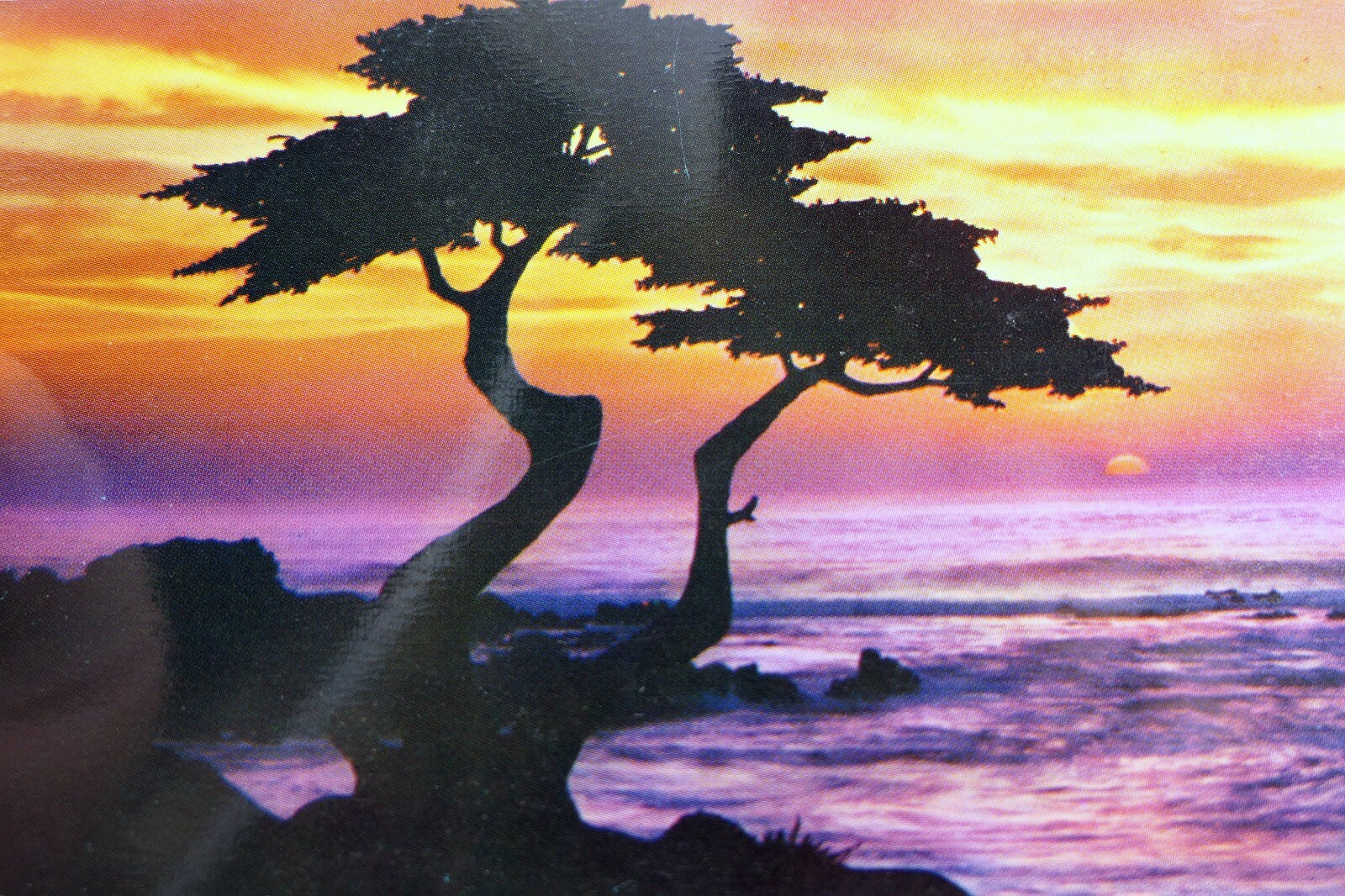 Cypress pacific ocean sunset monterey peninsula california usa postcard 1970's