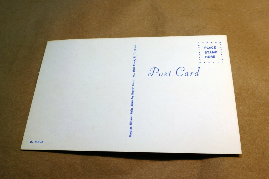 Comic Postcard~ Tony Roy~ Spotted Us As Tourist~ DT-7575-B 1970's