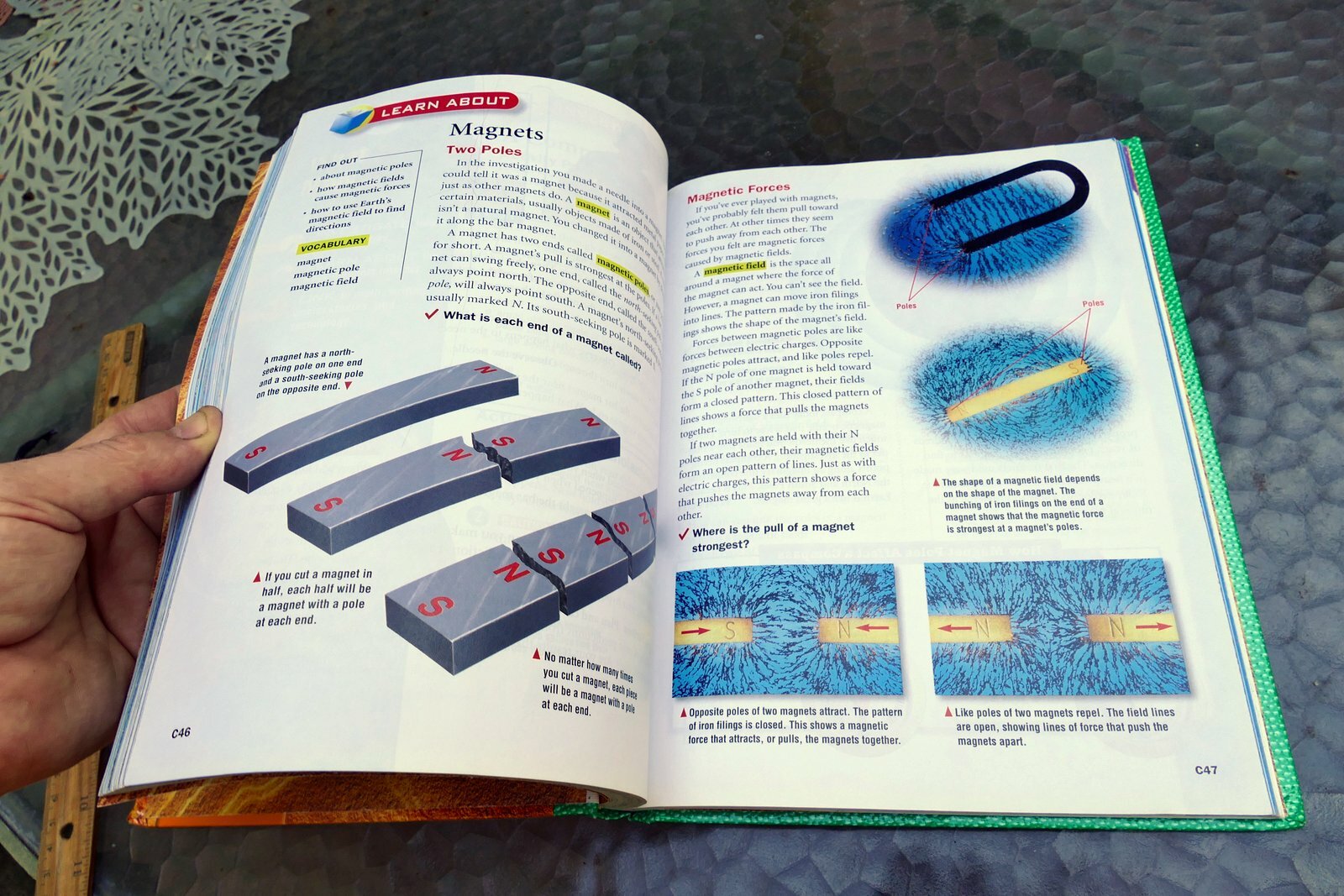 Harcourt Science : California Edition by Harcourt School Publishers Staff