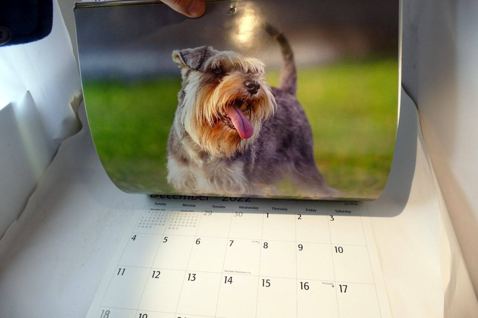 2022 Miniature Calendar puppy dog pics Red Ember family series