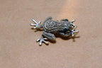 Vintage Frog Brooch Pin Brooch Silver Tone Jeweled  sparkling