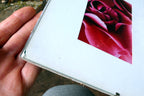 Rose photo art by Christian Sarramon framed with glass 24X10" large collage