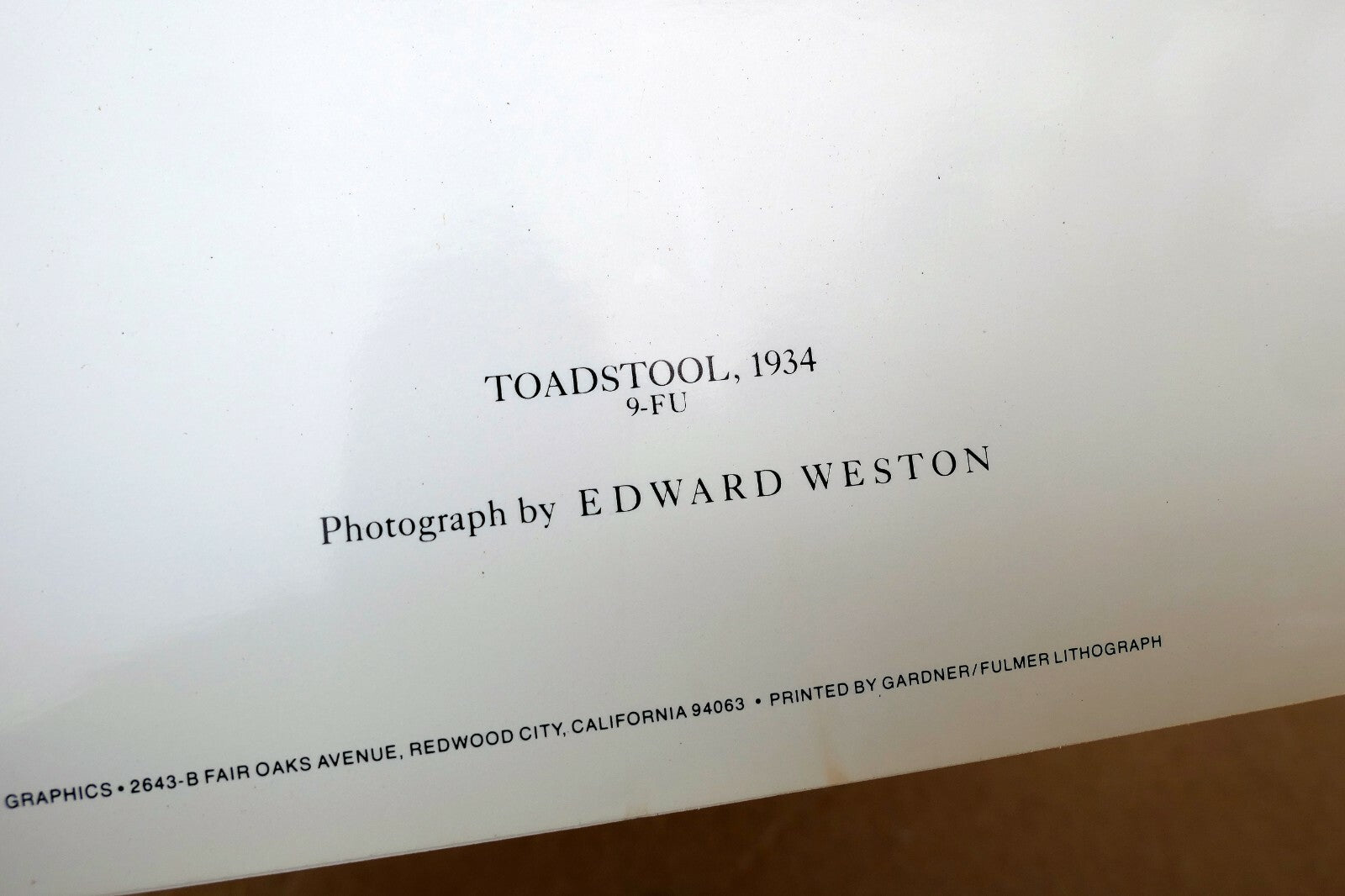 Toadstool 1934  9-FU Photograph by Edward Weston greeting card W-002-75