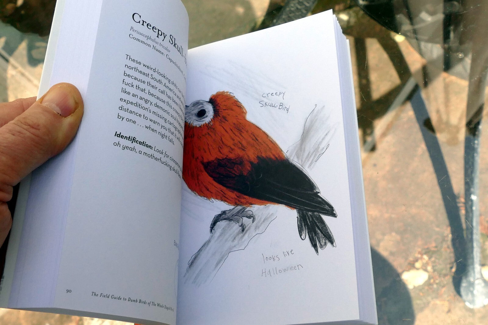 The Field Guide to Dumb Birds of the Whole Stupid World (Paperback or Softback)