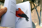 The Field Guide to Dumb Birds of the Whole Stupid World (Paperback or Softback)