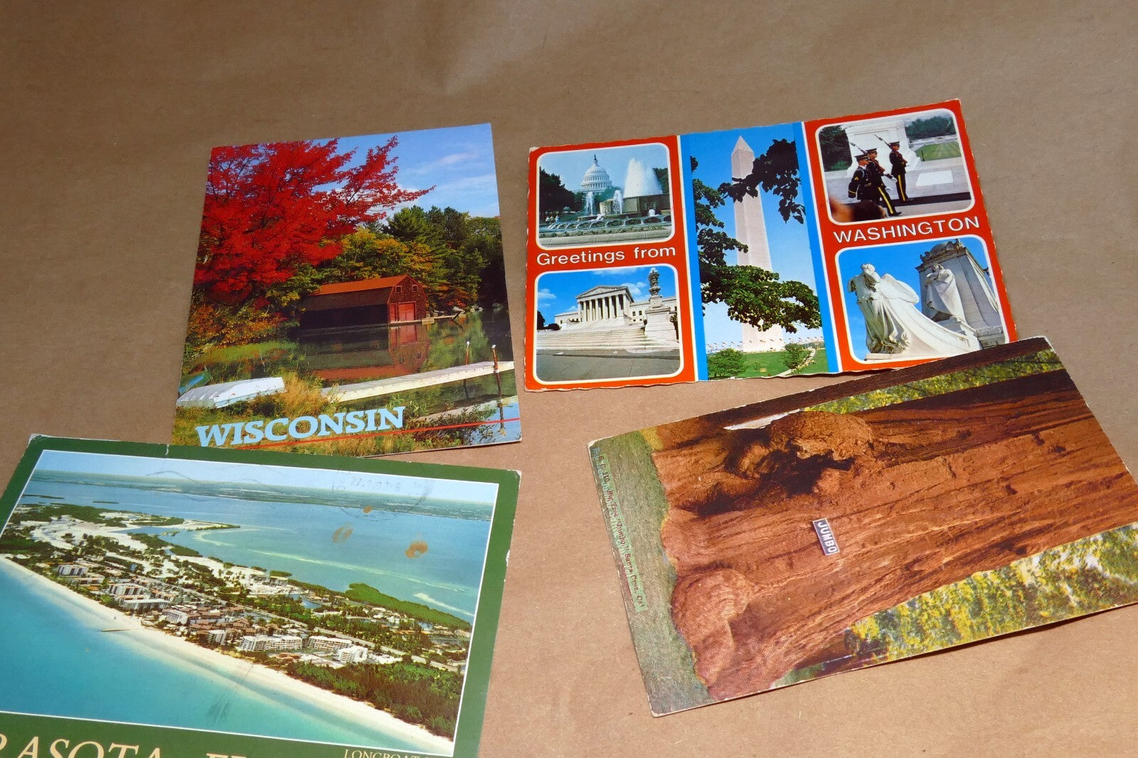 Postcard lot of 4  Posted USA California Sequoia Florida, Wisconsin Washington
