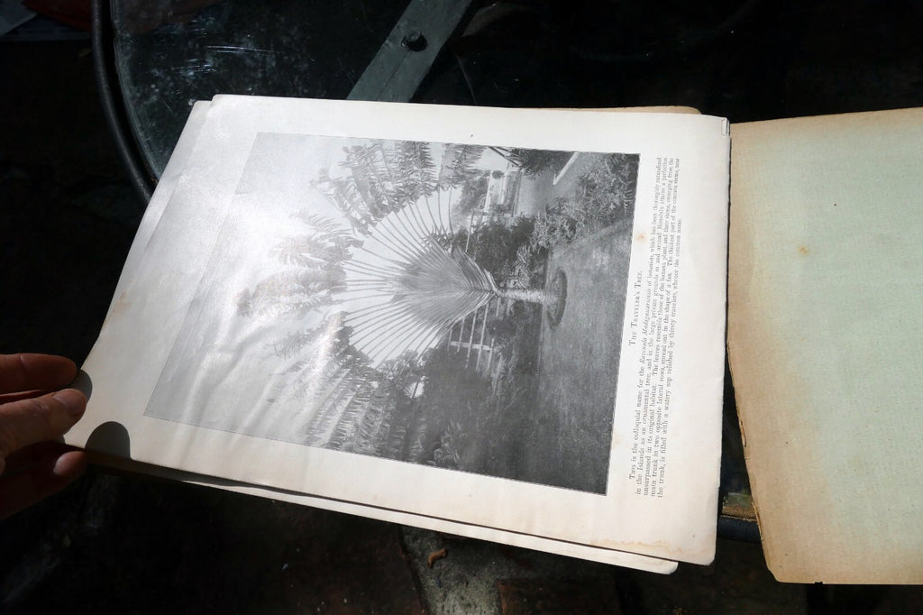 The Hawaiian Islands Paradise Of The Pacific Book Photographs Journal Apr. 1898