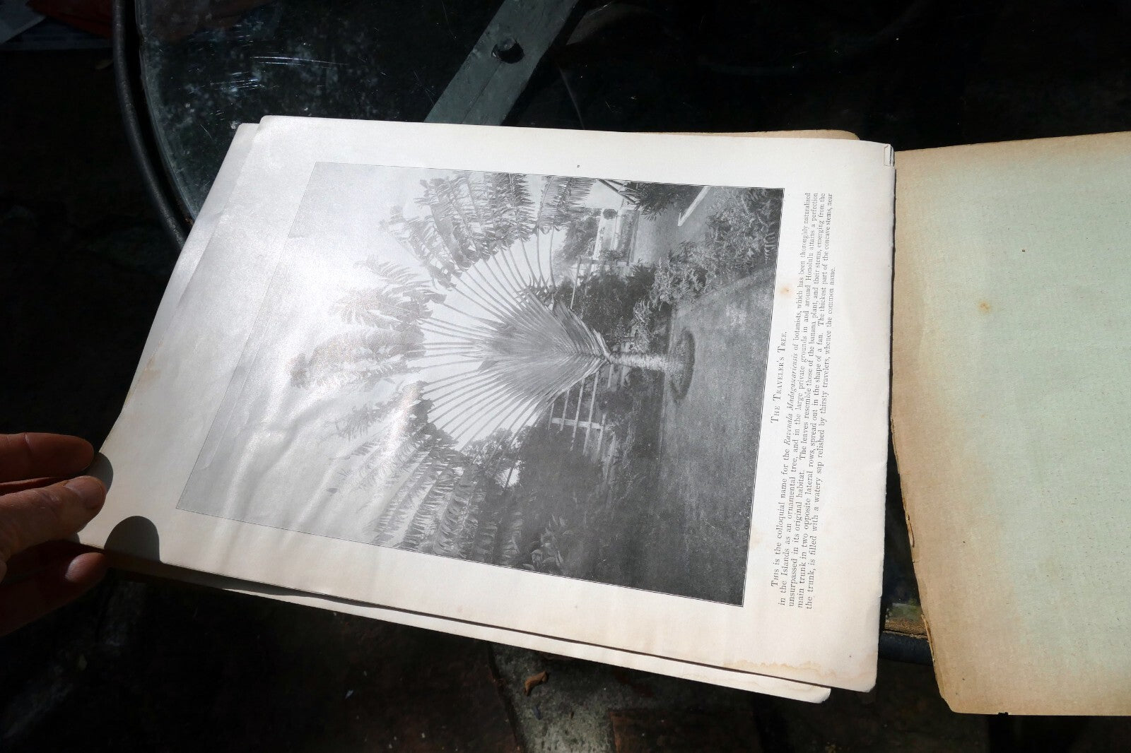The Hawaiian Islands Paradise Of The Pacific Book Photographs Journal Apr. 1898