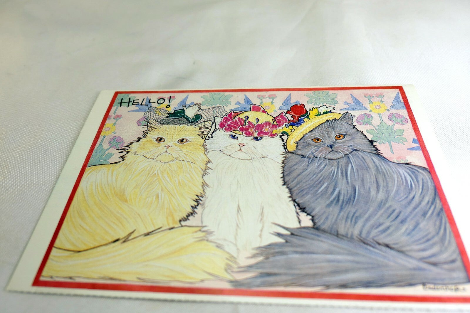 Hello! Postcard Animal Shelter North Shore League Adopt a Pet Kitten Cat vintage