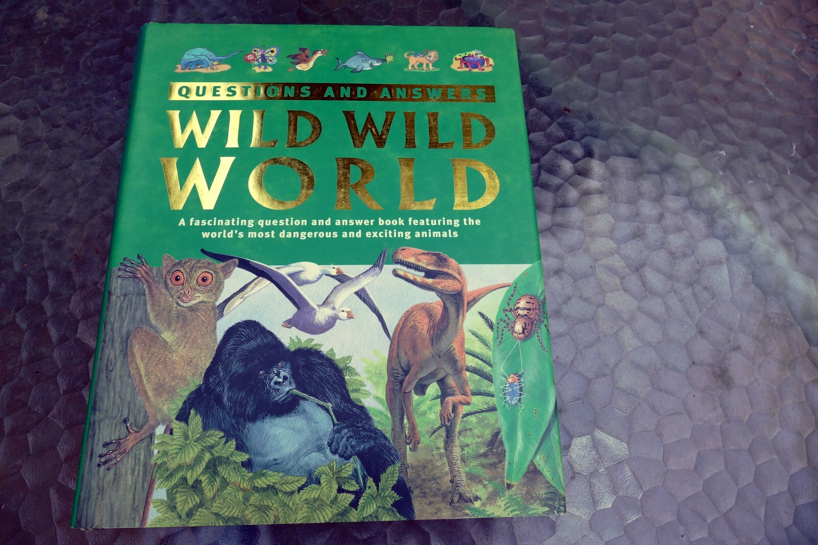 Questions and Answers Wild Wild World (Hardcover) Book Dangerous Exciting Animal
