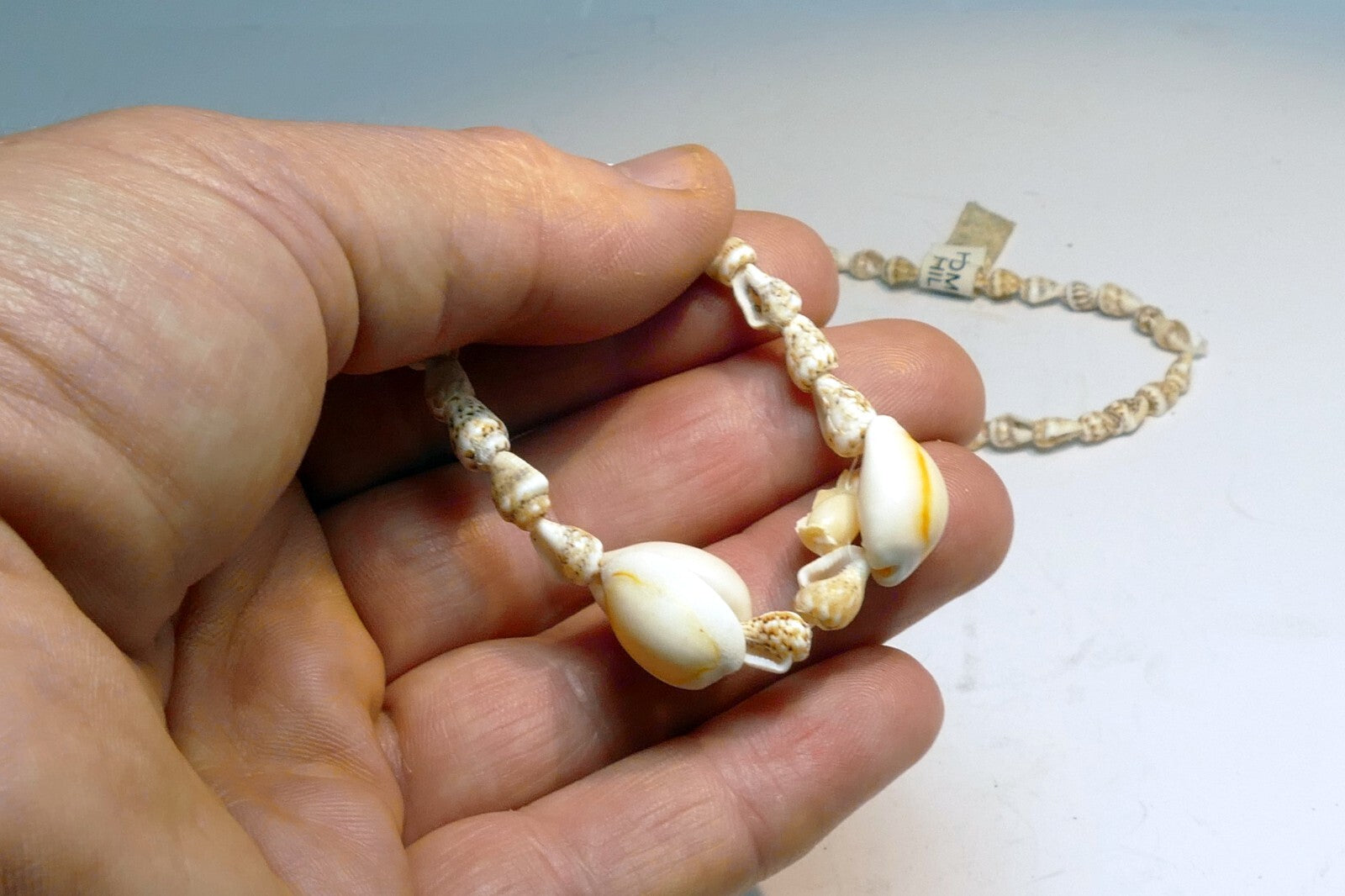 Cowrie Shell 17" Necklace Lei Jewelry Boho Surfer Yellow-White glossy