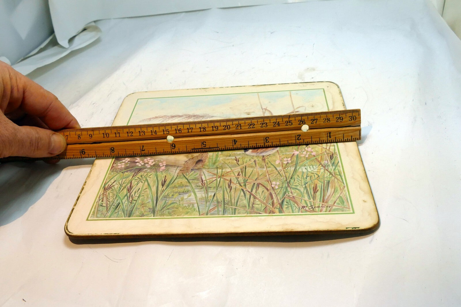 Bird  Placemat   mat 7X8" by M. Spencer Birds - vintage