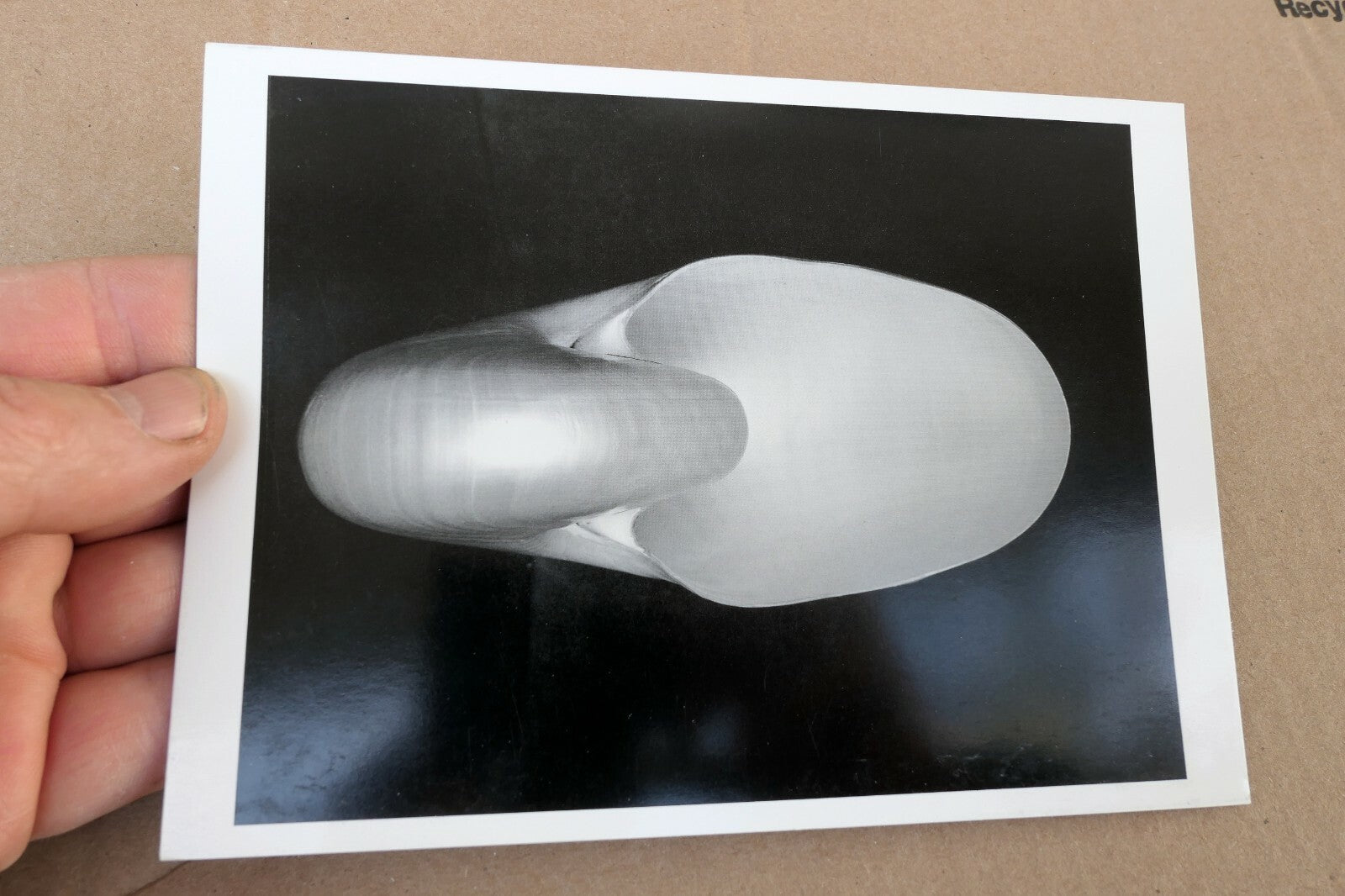 Shells 1927 1-S Photograph by Edward Weston greeting card unposted W-001-75