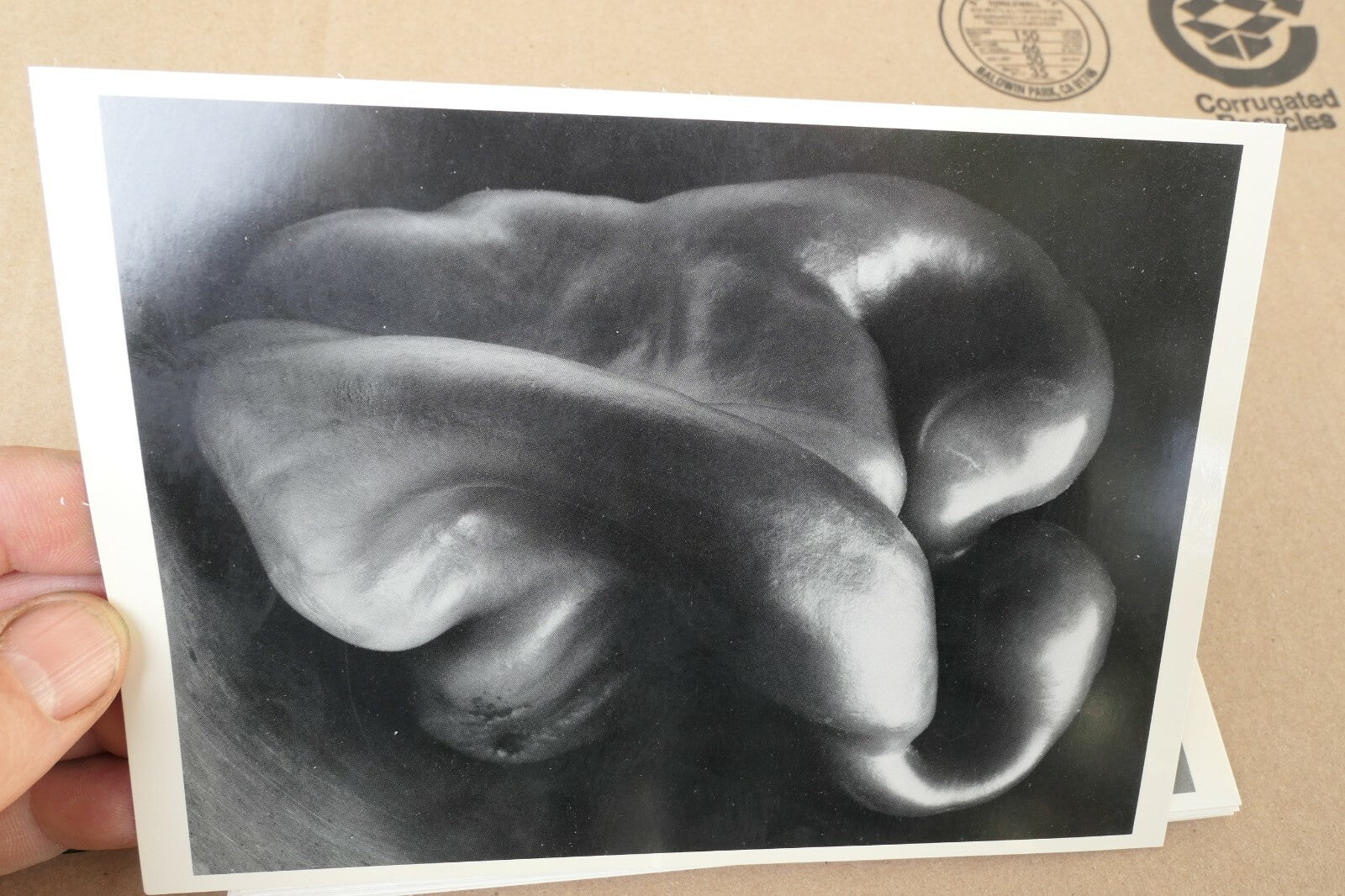 "Pepper" 1930 Photograph by Edward Weston POSTCARD vintage unposted EW-3