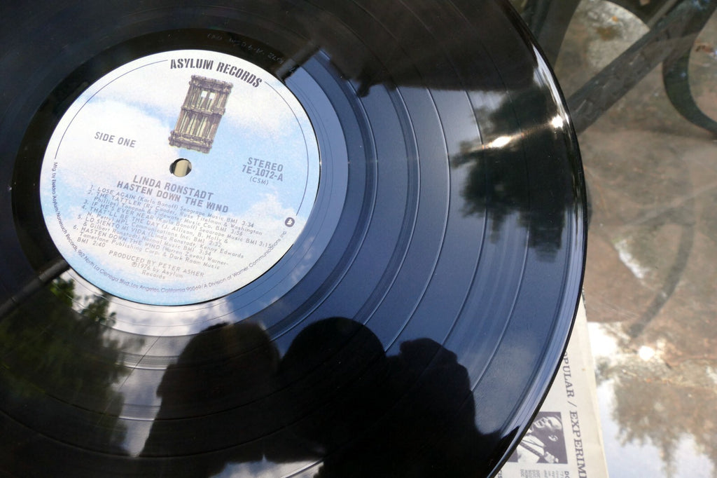 Linda Ronstadt Hasten Down The Wind Vinyl LP 7E-1072 1976 Elektra/Asylum 0698