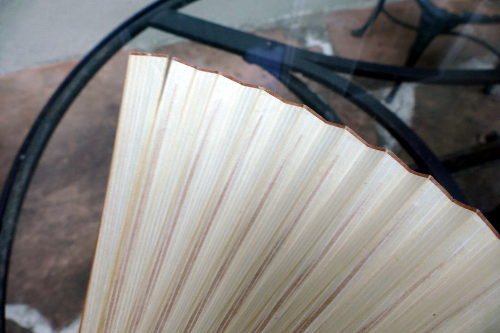 Japanese Hand FOLDING FAN, Bamboo with Cricket hand painted