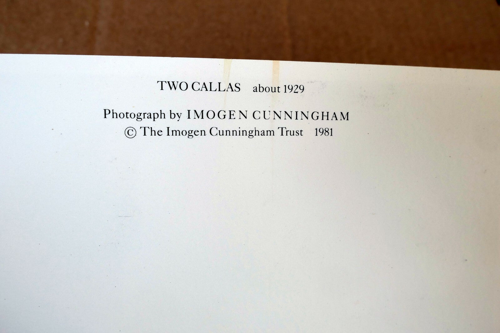 Two Callas 1929 Photograph by Imogen Cunningham POSTCARD unposted IC-2 floral