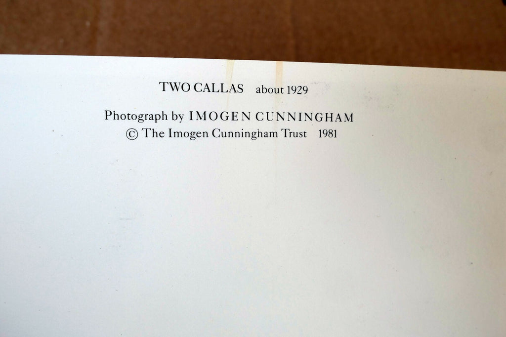 Two Callas 1929 Photograph by Imogen Cunningham POSTCARD unposted IC-2 floral