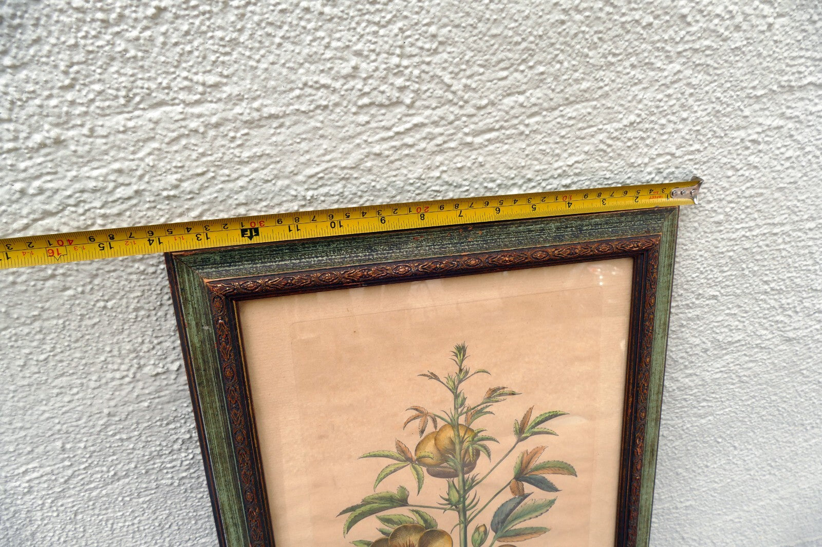 Edizioni Ponte Vecchio Sabdariffa Botanical Floral Print 14X25" Framed