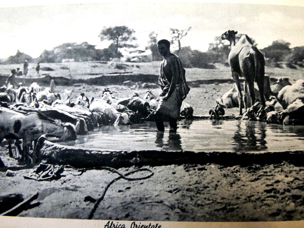 Postcard cartolina postale africa orientale unused unposted 1900's