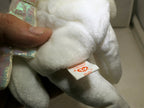 TY Beanie Babies HALO white Teddy Bear - mint with tag Brown nose black eyes
