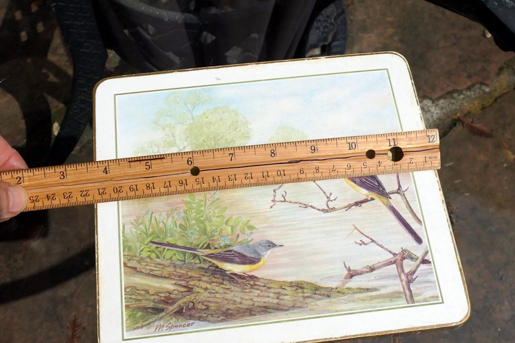 Mark Spencer Bird Mat  cork backed coater 7X9" placemat by M. Spencer