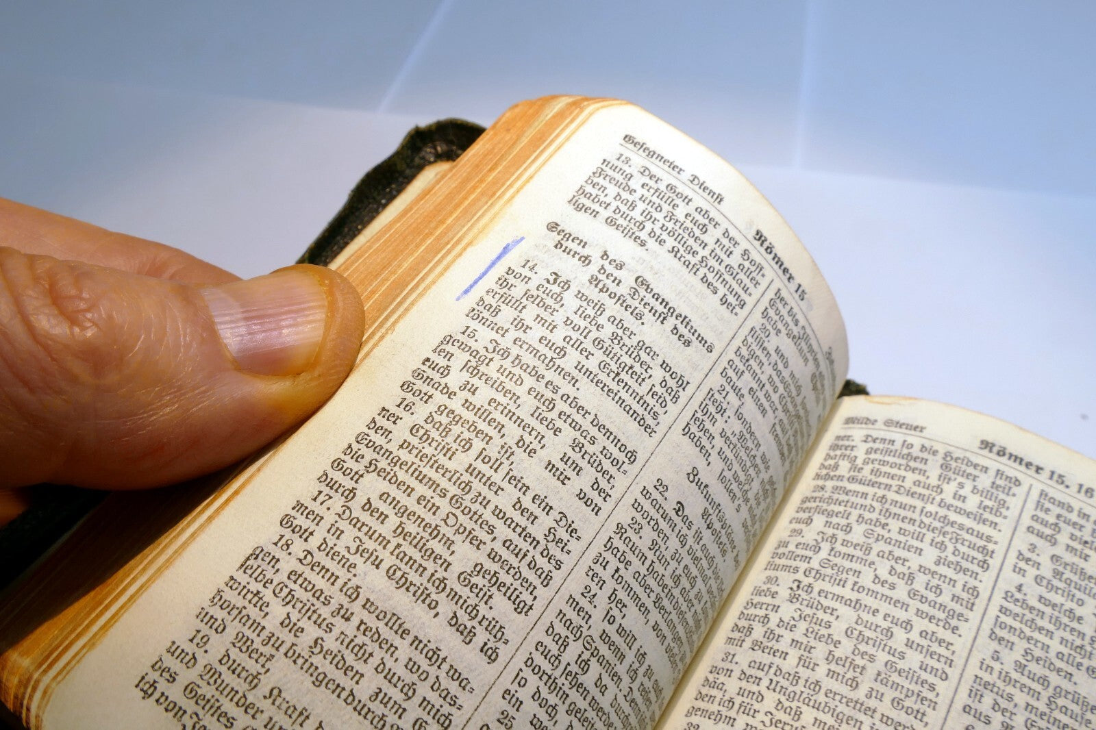 Das Neue Testament 1950 Stuttgart German Bible Translated By D. Martin Luther
