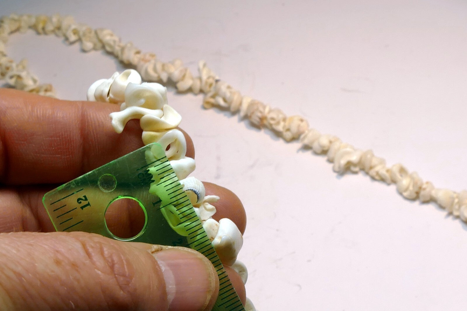 Cowrie Shell 17" Necklace Lei Jewelry Boho Surfer White ocean pacific hawaii