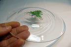 Arcoroc France Gifts & Toys Under Christmas Tree  7¾" Clear Glass Desert Plate