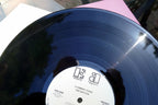 12 Terrific Tunes LP Promo 1-79 2ND Edition 3-79 Asylum / Elektra 1979