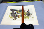 1966 Audubon Print  Pileated Woodpecker plate 111, bird print 15X20" medium