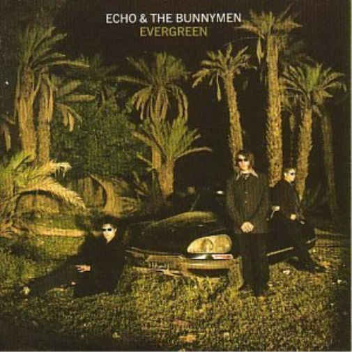 Echo & The Bunnymen ‎: Evergreen (BMG Direct CD) London  422 828 905-2